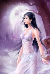 红烧狮子头